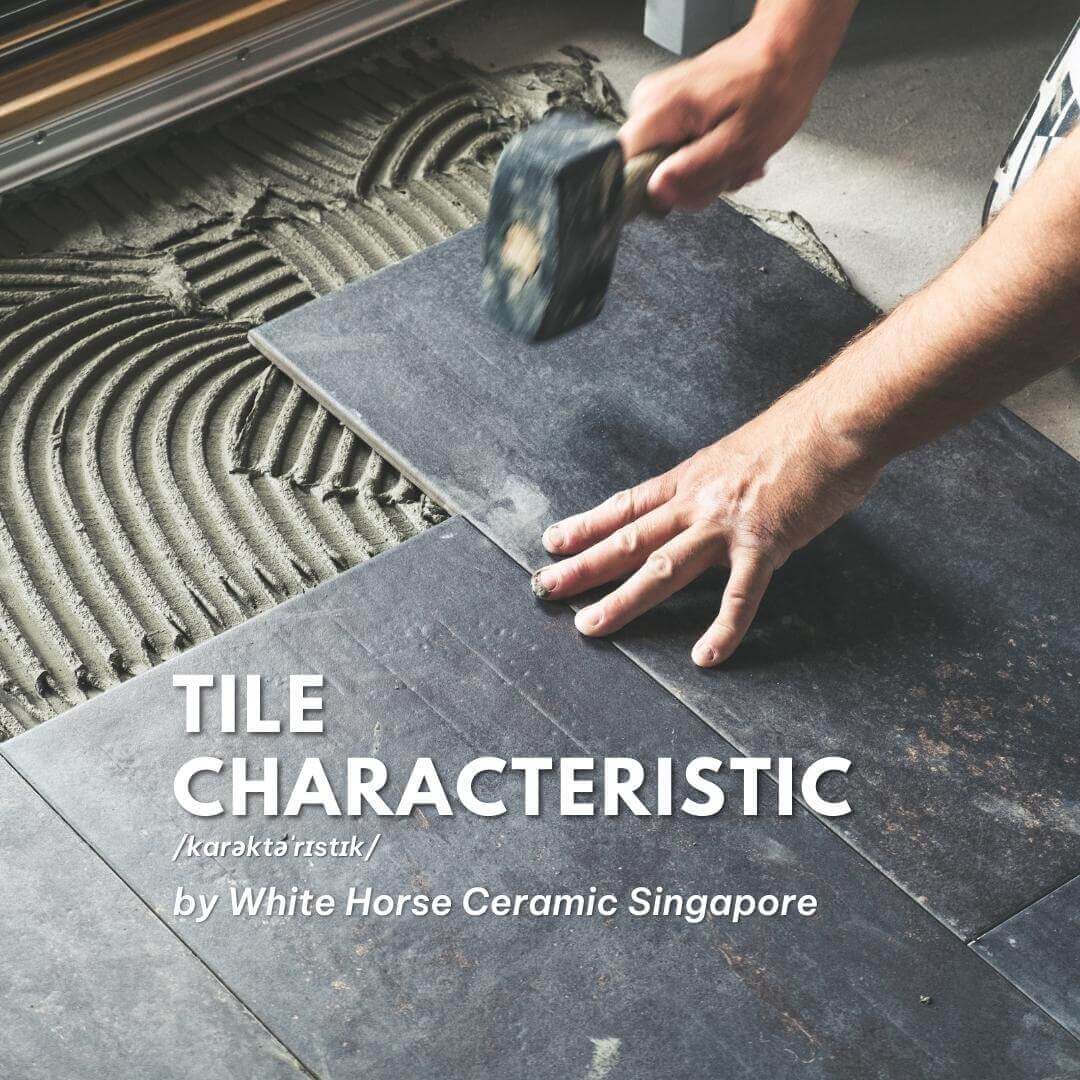 Tiles Characteristic